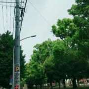 ヒメ日記 2025/05/15 15:58 投稿 ゆうこ 熟女の風俗最終章 沼津店