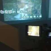 ヒメ日記 2025/05/31 02:28 投稿 ゆうこ 熟女の風俗最終章 沼津店