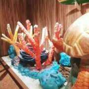 ヒメ日記 2025/06/07 20:08 投稿 ゆうこ 熟女の風俗最終章 沼津店