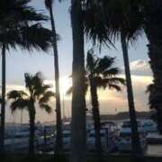 ヒメ日記 2025/07/22 10:38 投稿 ゆうこ 熟女の風俗最終章 沼津店