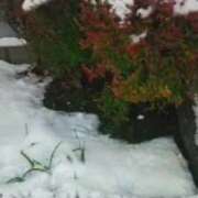 ヒメ日記 2025/11/08 20:48 投稿 ゆうこ 熟女の風俗最終章 沼津店