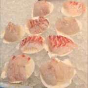 ヒメ日記 2026/09/02 17:28 投稿 ゆうこ 熟女の風俗最終章 沼津店