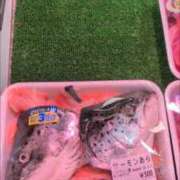 ヒメ日記 2026/09/02 17:33 投稿 ゆうこ 熟女の風俗最終章 沼津店