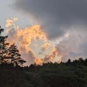 ヒメ日記 2025/06/11 21:30 投稿 百合(ゆり) シンデレラエステ