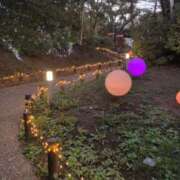 百合(ゆり) 18:00までいるよ🥰 シンデレラエステ