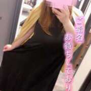 ヒメ日記 2025/07/19 10:48 投稿 浅井 かい Prae(プラエ)