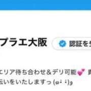 ヒメ日記 2025/11/01 17:11 投稿 浅井 かい Prae(プラエ)