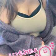 ヒメ日記 2025/11/07 17:17 投稿 浅井 かい Prae(プラエ)