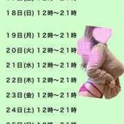 ヒメ日記 2026/01/17 14:47 投稿 浅井 かい Prae(プラエ)