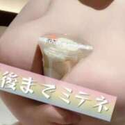 ヒメ日記 2026/03/17 17:26 投稿 浅井 かい Prae(プラエ)