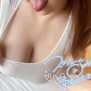 ヒメ日記 2026/03/26 16:37 投稿 浅井 かい Prae(プラエ)