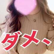 ヒメ日記 2026/04/30 15:40 投稿 浅井 かい Prae(プラエ)