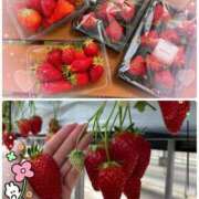 ヒメ日記 2026/01/12 19:03 投稿 晴美(はるみ) 人妻出逢い会 百合の園 池袋店