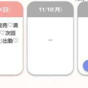 ヒメ日記 2025/11/09 18:33 投稿 みさき★爆乳G乳の局アナ美女 Bell～S級美女お姉様・人妻デリヘル～