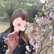 ヒメ日記 2026/04/03 18:24 投稿 みさき★爆乳G乳の局アナ美女 Bell～S級美女お姉様・人妻デリヘル～