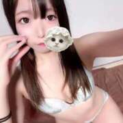 ヒメ日記 2025/12/11 11:21 投稿 なぎ（極上SPコース対応） LIGHT（ライト）～光が導く無限の可能性～