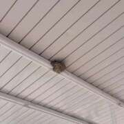 ヒメ日記 2025/05/08 15:33 投稿 茉莉亜（まりあ） 元祖神戸Ｍ性感～Ｍ・ｉｎｇ～