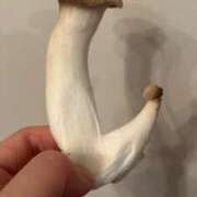 ヒメ日記 2025/10/03 17:51 投稿 茉莉亜（まりあ） 元祖神戸Ｍ性感～Ｍ・ｉｎｇ～