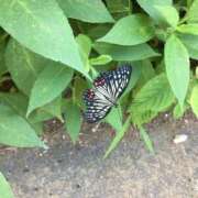 ヒメ日記 2025/07/15 13:08 投稿 ひより 美妻川越～熟女との時間～