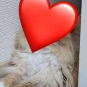 ヒメ日記 2026/01/12 08:33 投稿 ひより 美妻川越～熟女との時間～