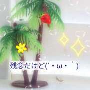 ヒメ日記 2026/01/28 11:13 投稿 ひより 美妻川越～熟女との時間～