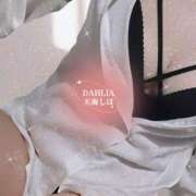 ヒメ日記 2025/11/01 16:41 投稿 天海しほ ダリア