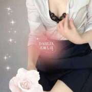 ヒメ日記 2025/11/09 14:11 投稿 天海しほ ダリア