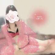 ヒメ日記 2026/01/17 17:51 投稿 天海しほ ダリア