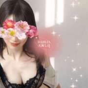 ヒメ日記 2026/02/19 01:31 投稿 天海しほ ダリア