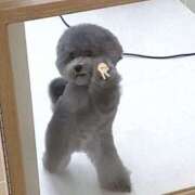 ヒメ日記 2025/05/16 02:18 投稿 しおん 素敵な女の子は好きですか？