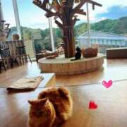 ヒメ日記 2025/06/10 20:22 投稿 ももな 熟女の風俗最終章 新宿店