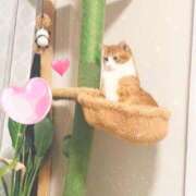 ヒメ日記 2025/09/03 00:22 投稿 ももな 熟女の風俗最終章 新宿店