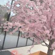 ヒメ日記 2026/04/05 15:02 投稿 ももな 熟女の風俗最終章 池袋店