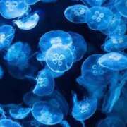 ヒメ日記 2026/03/04 21:00 投稿 りあら 淫乱痴女エステ新宿店