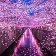 ヒメ日記 2026/04/13 15:44 投稿 りあら 淫乱痴女エステ新宿店