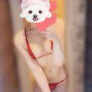 ヒメ日記 2025/09/13 10:43 投稿 桜(さくら) 堺・南大阪泡洗体ハイブリッドエステ