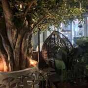 ヒメ日記 2025/11/09 19:45 投稿 ゆり Club S