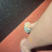 ヒメ日記 2025/07/04 18:37 投稿 りり Club S