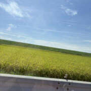 ヒメ日記 2025/08/14 21:43 投稿 りり Club S