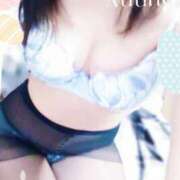 ヒメ日記 2025/11/14 10:00 投稿 牧瀬りな こあくまな熟女たち 京都店(KOAKUMAグループ)