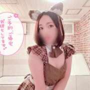 ヒメ日記 2025/11/20 20:31 投稿 三浦はるか メイドin中野（東京ハレ系）