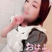 ヒメ日記 2025/12/11 11:33 投稿 三浦はるか メイドin中野（東京ハレ系）