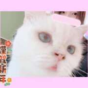 ヒメ日記 2026/01/02 20:33 投稿 三浦はるか メイドin中野（東京ハレ系）