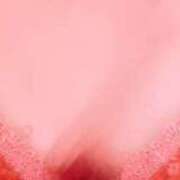 ヒメ日記 2025/04/28 14:58 投稿 柿崎 ゆみ こあくまな熟女たち伊勢崎店（KOAKUMAグループ）