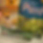 ヒメ日記 2025/12/15 13:37 投稿 そら Respect