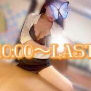 ヒメ日記 2025/06/02 06:00 投稿 村雨　りみ スタイリッシュ秘書