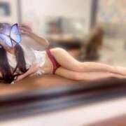 ヒメ日記 2025/06/02 12:07 投稿 村雨　りみ スタイリッシュ秘書