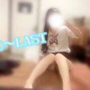 ヒメ日記 2025/06/04 06:00 投稿 村雨　りみ スタイリッシュ秘書