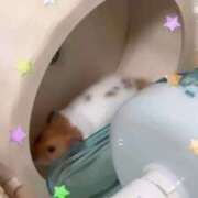 ヒメ日記 2025/10/31 03:26 投稿 るな 隙のあるエステ