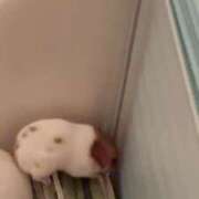 ヒメ日記 2025/11/28 02:59 投稿 るな 隙のあるエステ